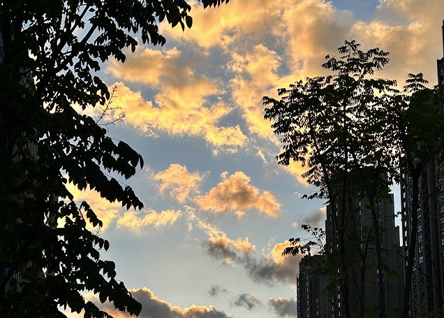 香港高才通續(xù)簽的申請時間有要求嗎