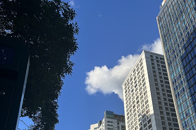 谷歌支付登陸沙特，支付寶于2026年接入，企業(yè)出海中東市場(chǎng)開(kāi)辟新的合作機(jī)遇!