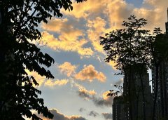 泰國(guó)公司法定代表人國(guó)籍要求解析